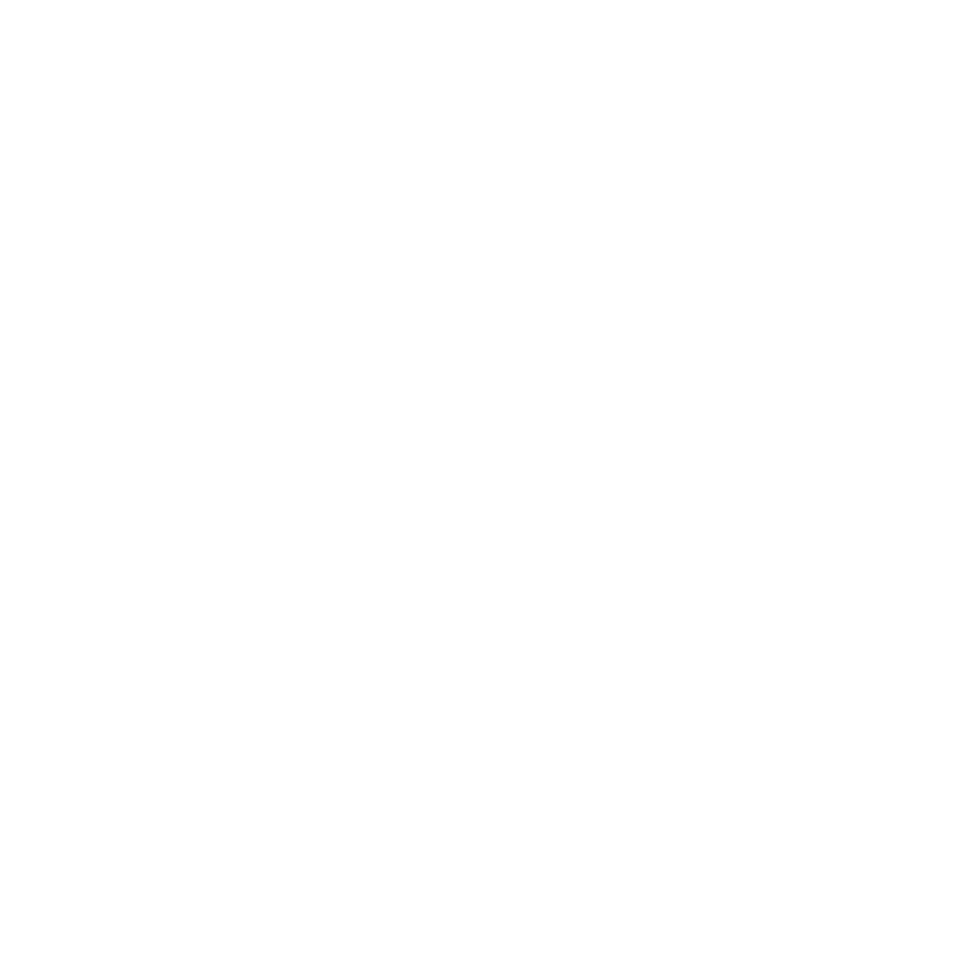 American Skull