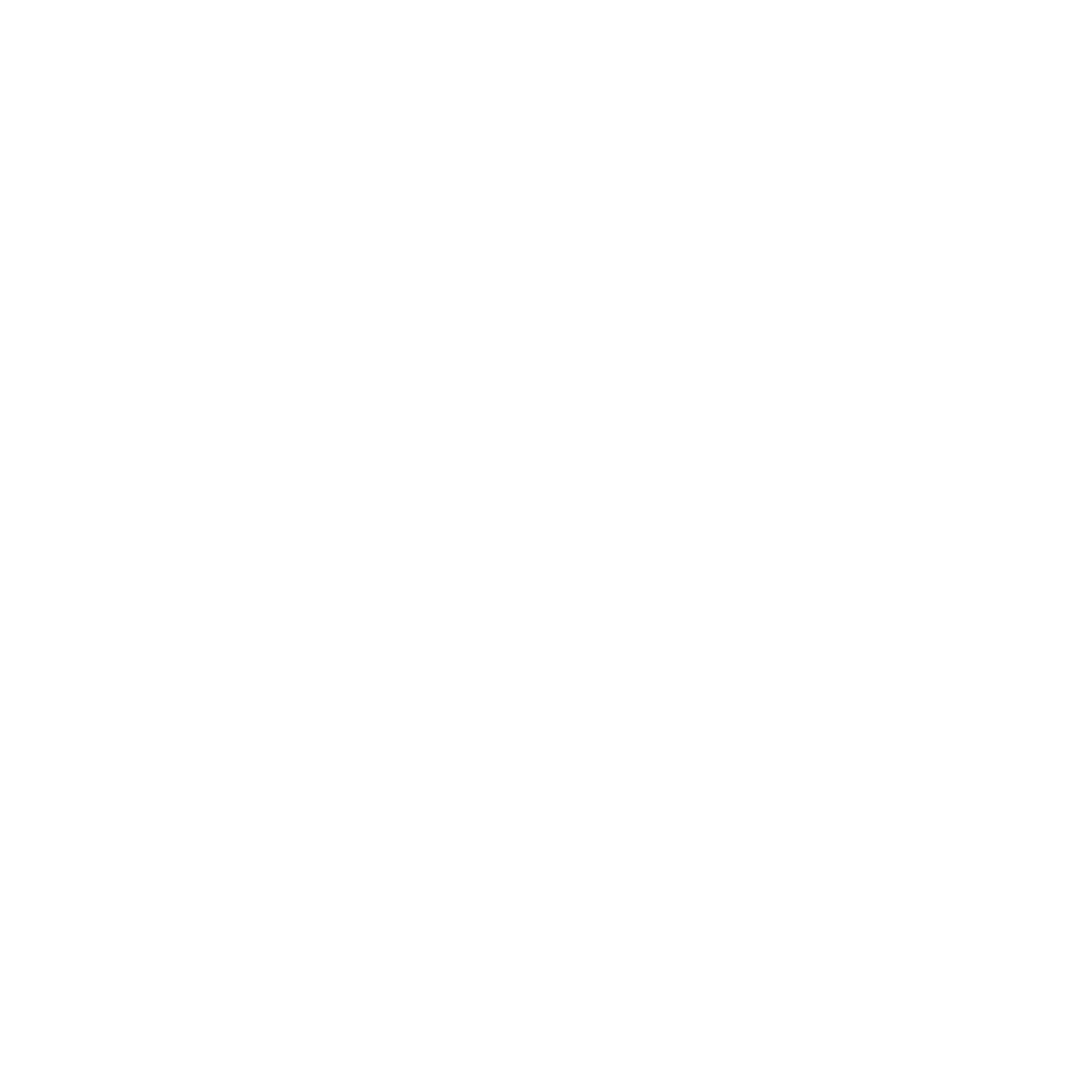 Duck in Flight