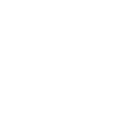Distressed Flag II